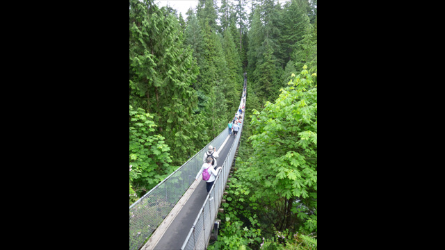 للاستلهام - كاميرا لوميكس رقمية DMC-FZ70