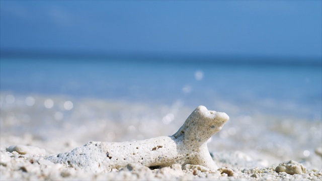 للاستلهام - عدسة لايكا دي جي H-X025