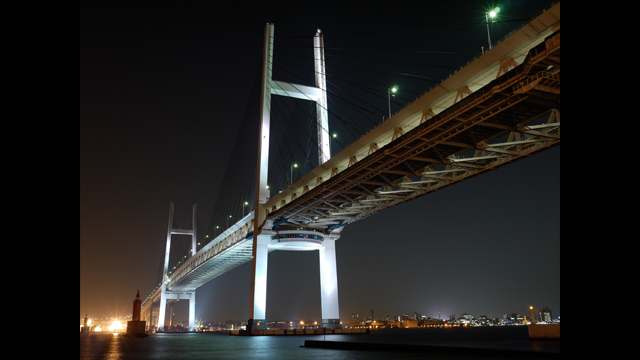 للاستلهام - عدسة لوميكس جي H-FS014045