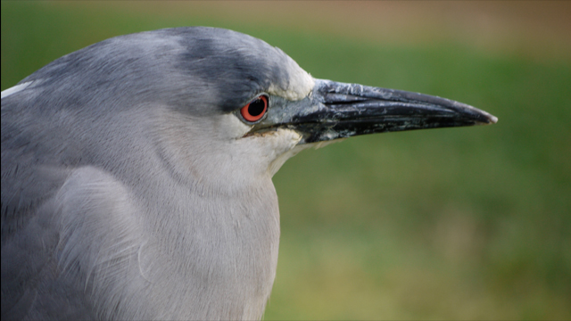 للاستلهام - عدسة لوميكس جي H-FS045200