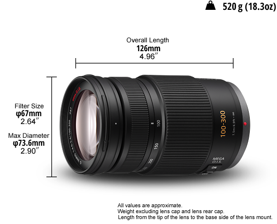 عدسة لوميكس جي H-FS100300