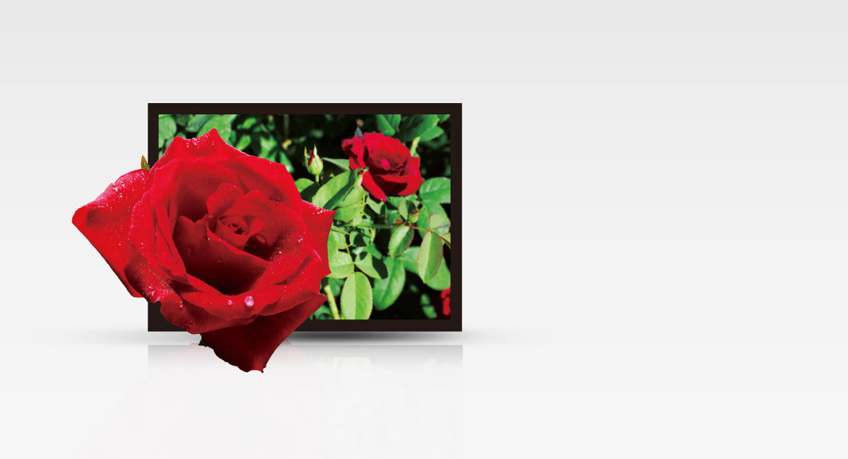 تصوير ثلاثي الأبعاد
