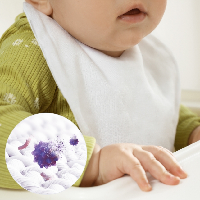 برنامج النظافة