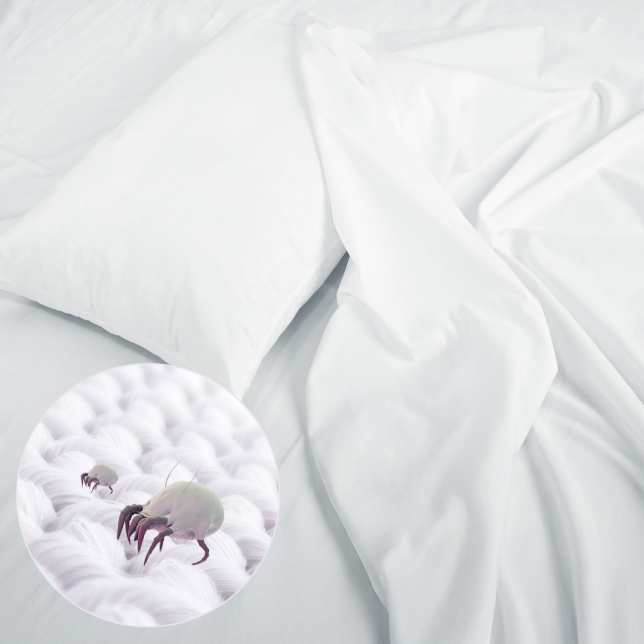 برنامج الحساسية