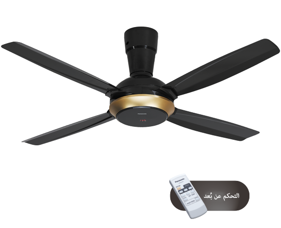 سلسلة التحكم عن بُعد