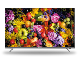 صورة TH-43FX430M