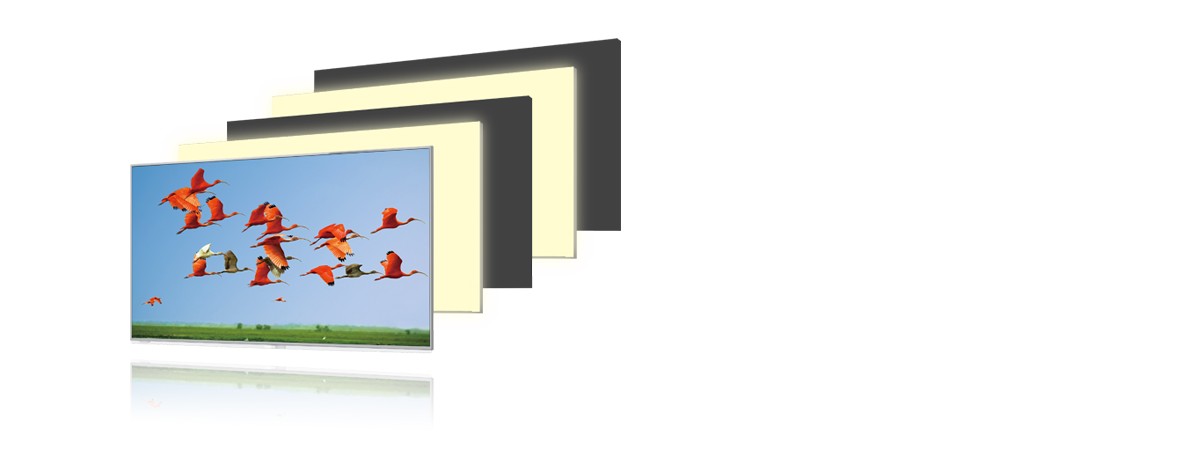 الإضاءة الخلفية الوامضة
