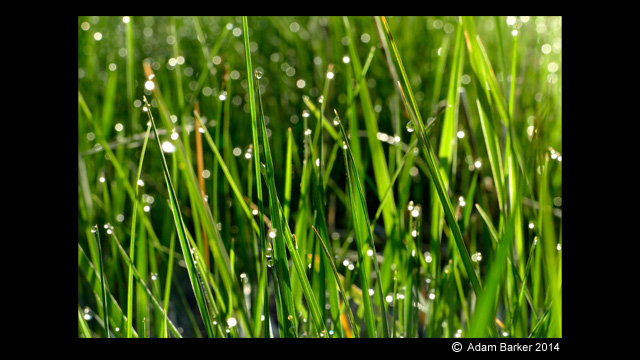 Get Inspired - LUMIX Digital Camera DMC-FZ1000