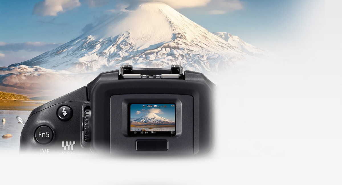 OLED Live View Finder