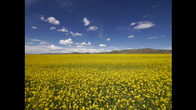 Get Inspired - LUMIX® Digital Single Lens Mirrorless Camera DMC-G6