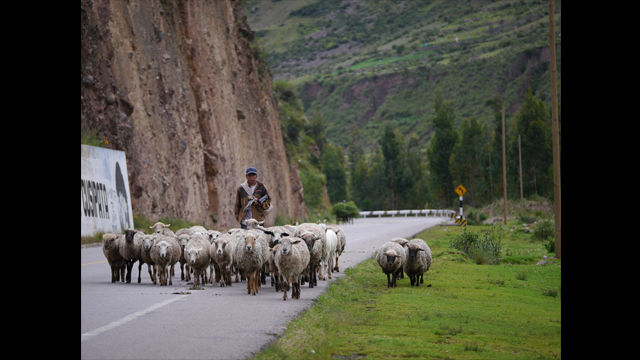 Get Inspired - LUMIX® Digital Single Lens Mirrorless Camera DMC-G6