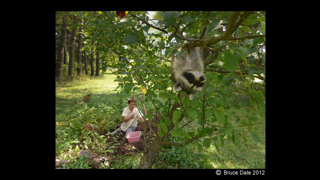 Get Inspired - LUMIX® Digital Camera DMC-LX7