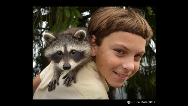 Get Inspired - LUMIX® Digital Camera DMC-LX7