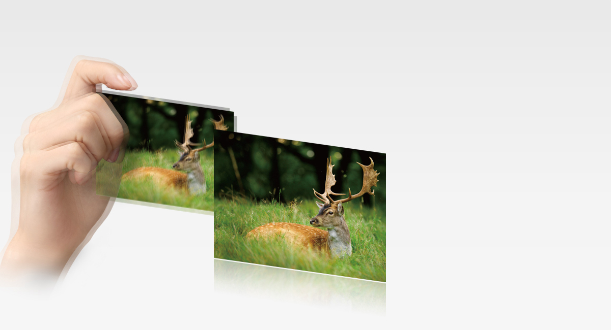 Optical Image Stabilizer