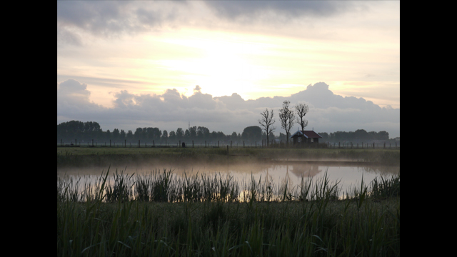 Get Inspired - LUMIX® G Lens H-FS014042