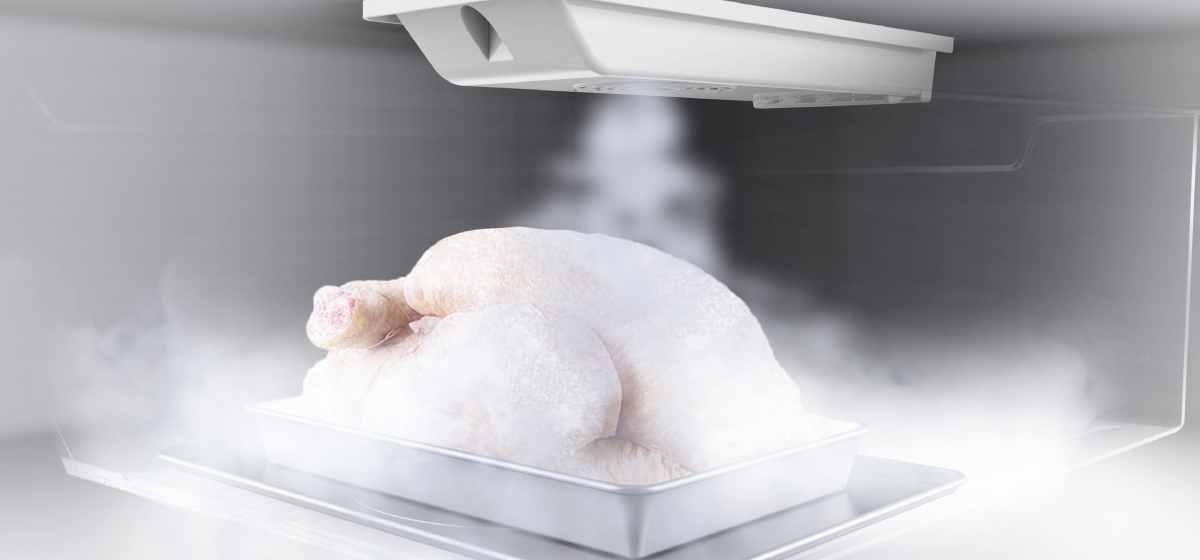 Freezer that Preserves Freshness & Flavours