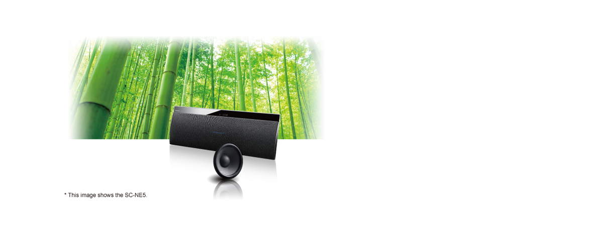 Nanosized Bamboo Cone Speaker