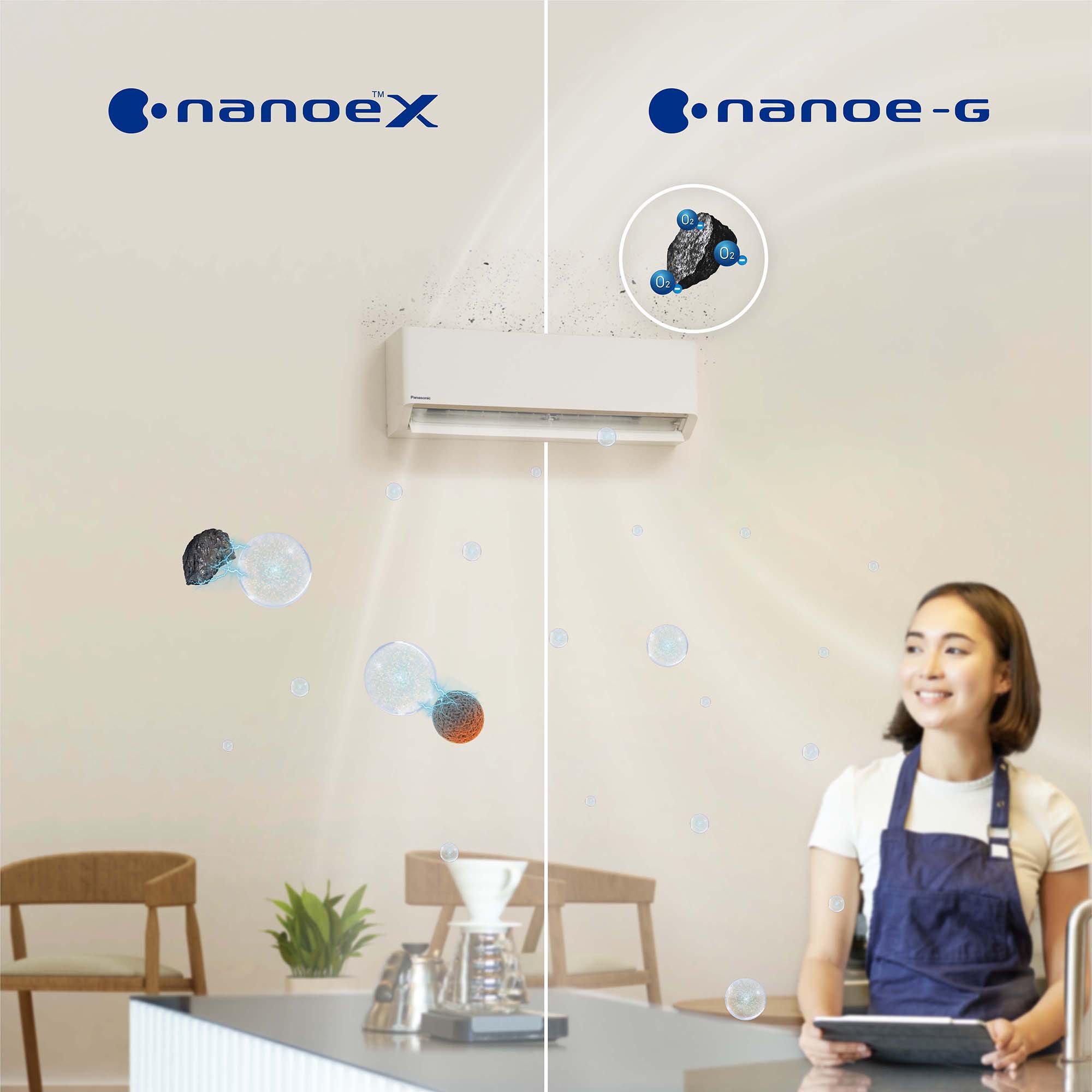 Purify Pollutants and Odours