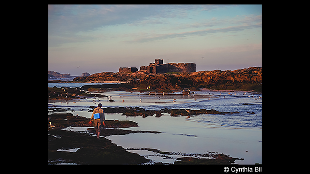 Get Inspired - LUMIX G95 (14-42mm Lens Kit) – Ultimate Photo & Video Adventure