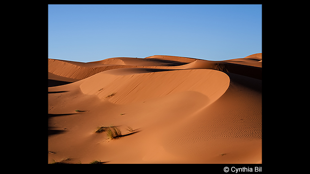 Get Inspired - LUMIX G95 (14-42mm Lens Kit) – Ultimate Photo & Video Adventure