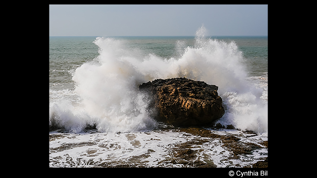 Get Inspired - LUMIX G95 (14-42mm Lens Kit) – Ultimate Photo & Video Adventure