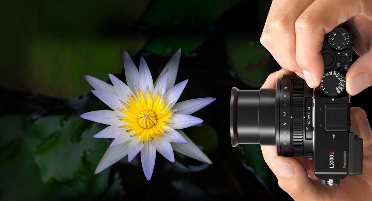 Macro Shooting as Close as 3cm