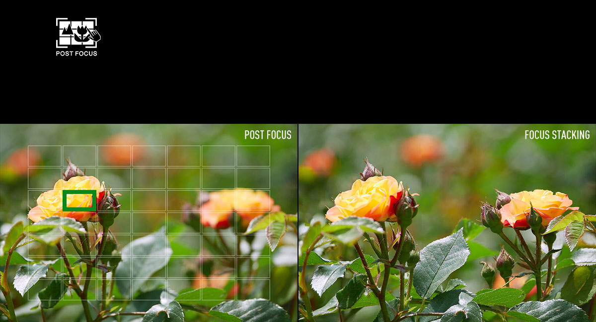 Post Focus / Focus Stacking