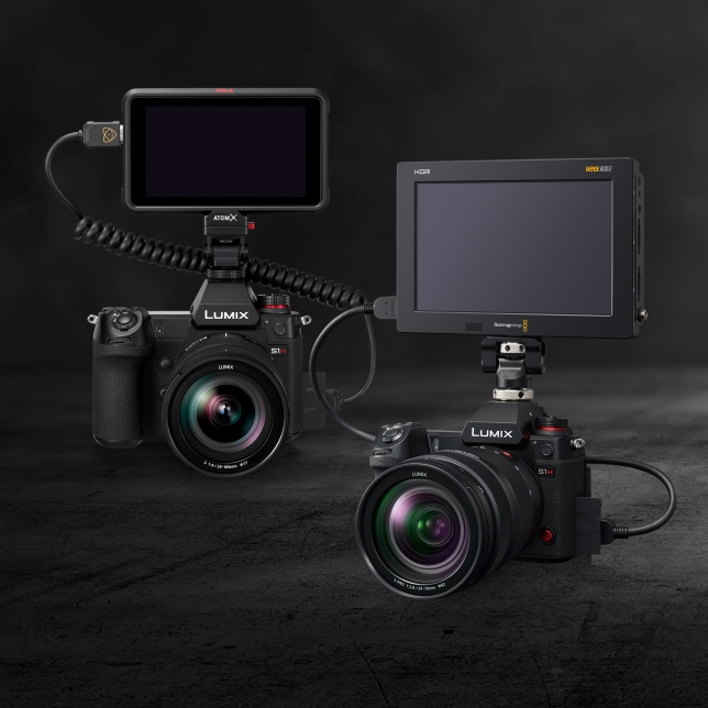 RAW Video Data Output for Professional Film Creation