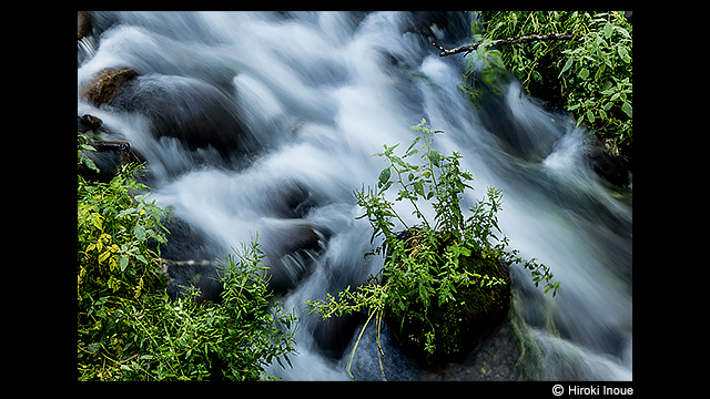 Get Inspired - Lumix 20x Super-zoom Camera DMC-FZ2500 (1-inch Sensor)