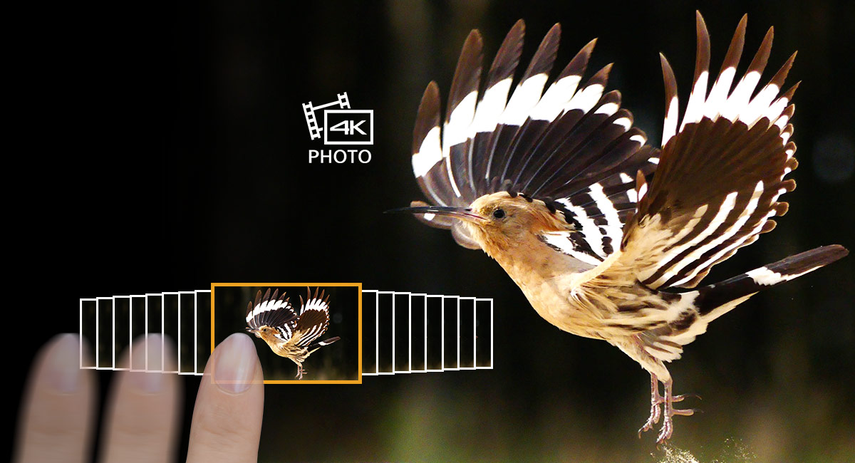 Unmissable moments with 4K PHOTO