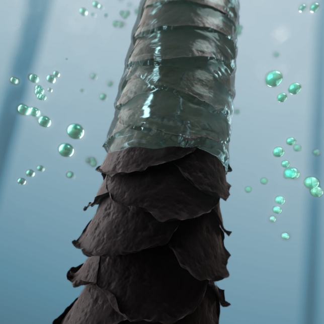 Frizz-Free Finish with Ion Conditioning