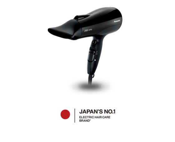 2500W High Power Ionity Hair Dryer EH-NE81-K655 - Powerful & Fast Dry