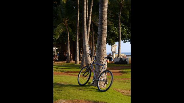 Get Inspired - LUMIX G Lens H-PS45175