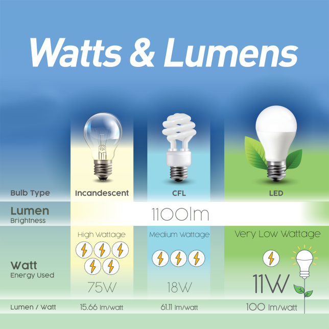 Which Light Bulb Wattage Do I Need?