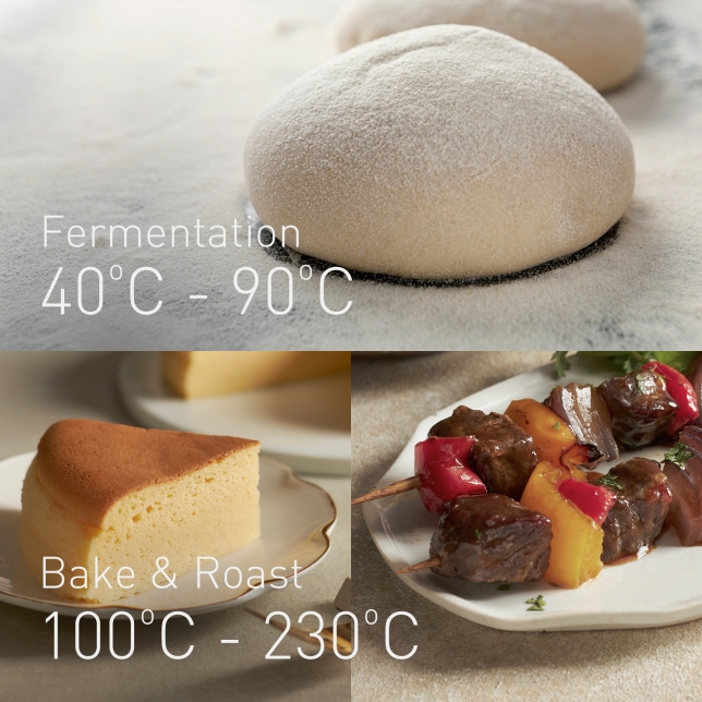 Wide Temperature Range - Bake, Roast and More