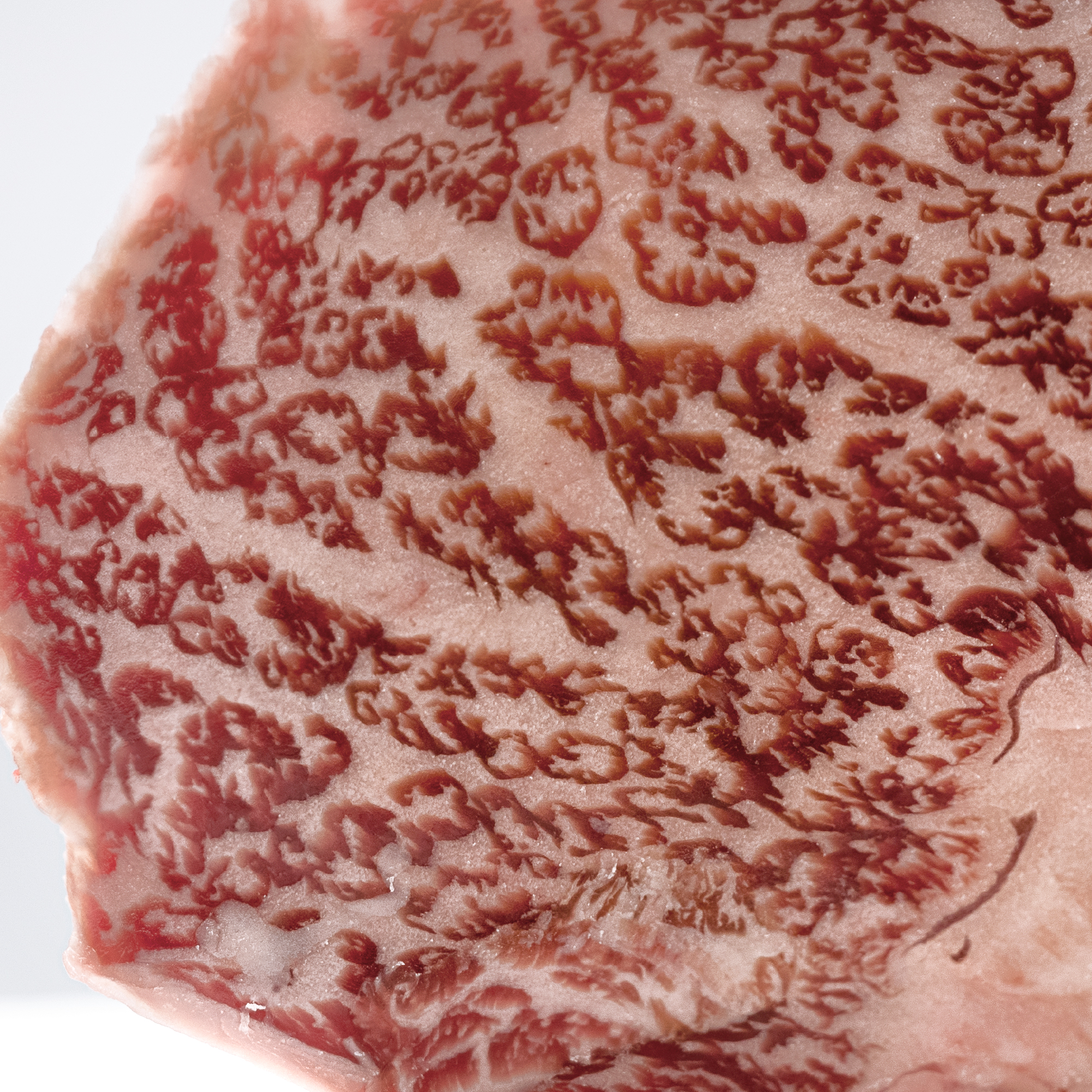 Always Nutritious, Ready Fast