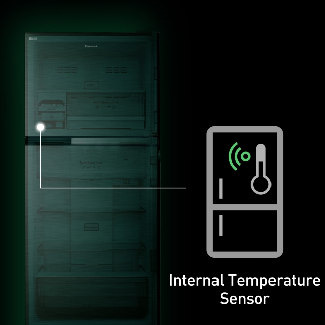 Internal Temperature Sensor