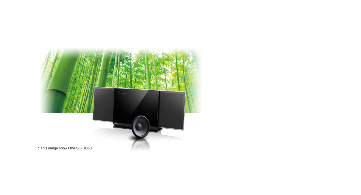 Nanosized Bamboo Cone Speaker