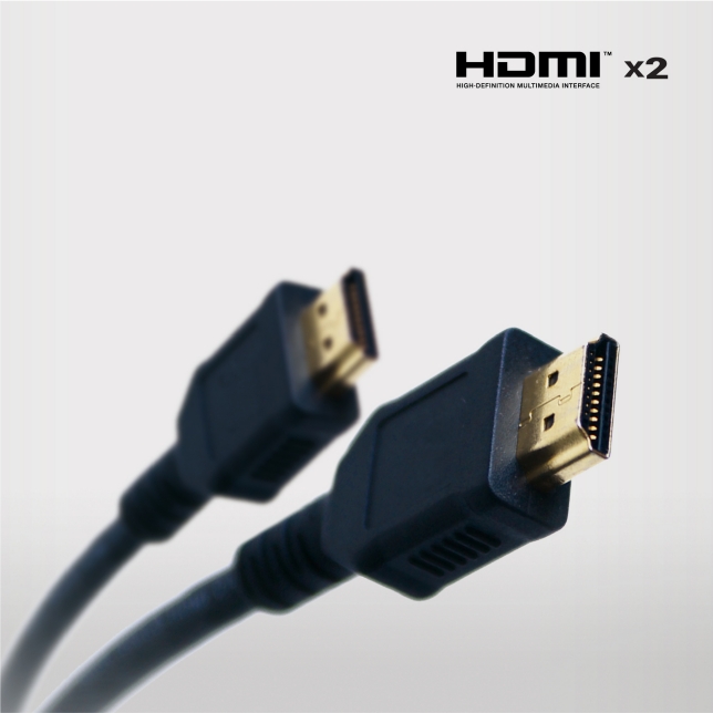 HDMI Input x 2