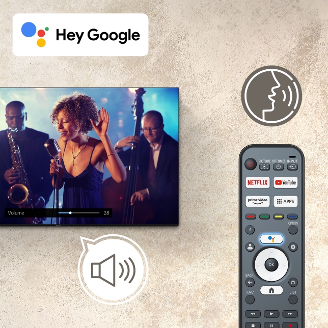 Talk to Google to control your TV using your voice