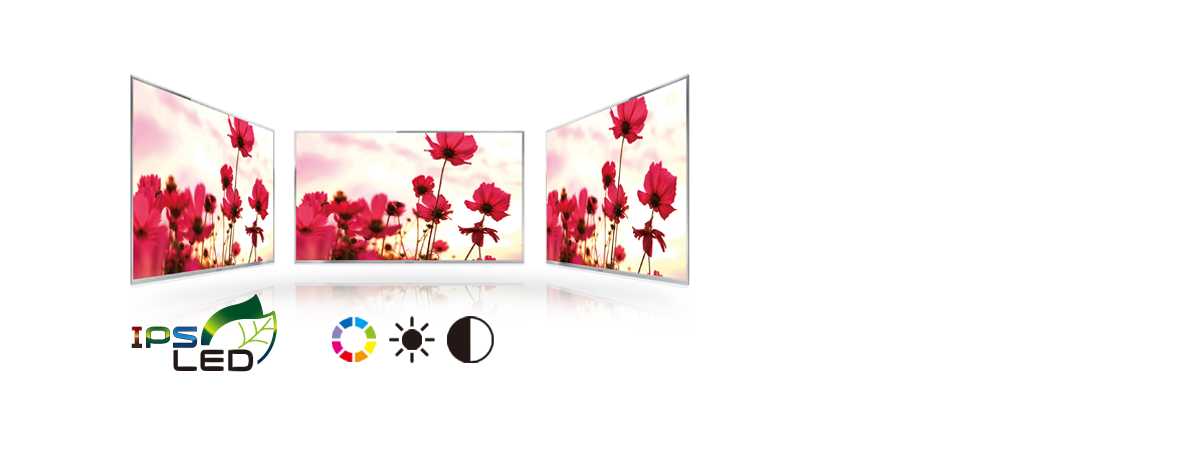 Wide Viewing Angle
by IPS LED