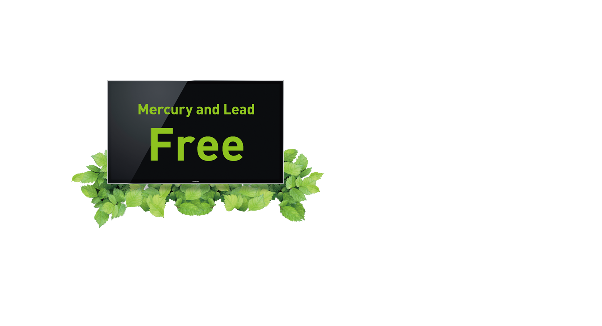 Mercury and
Lead Free