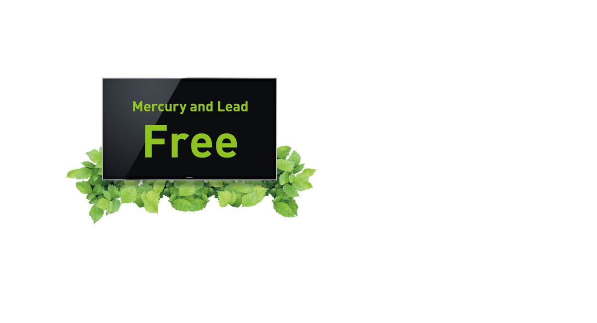 Mercury and
Lead Free