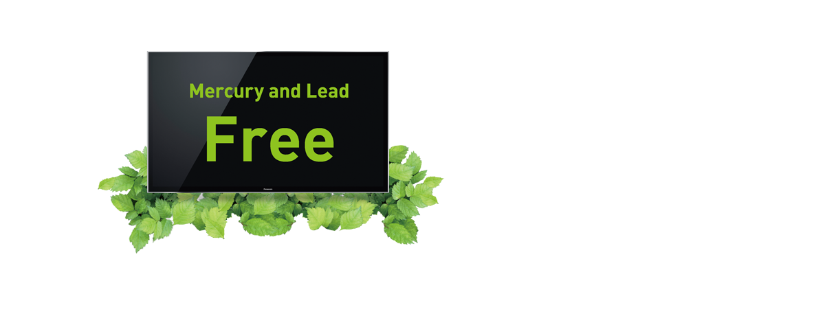 Mercury and Lead Free