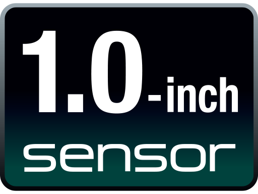 1,0-inch sensor
