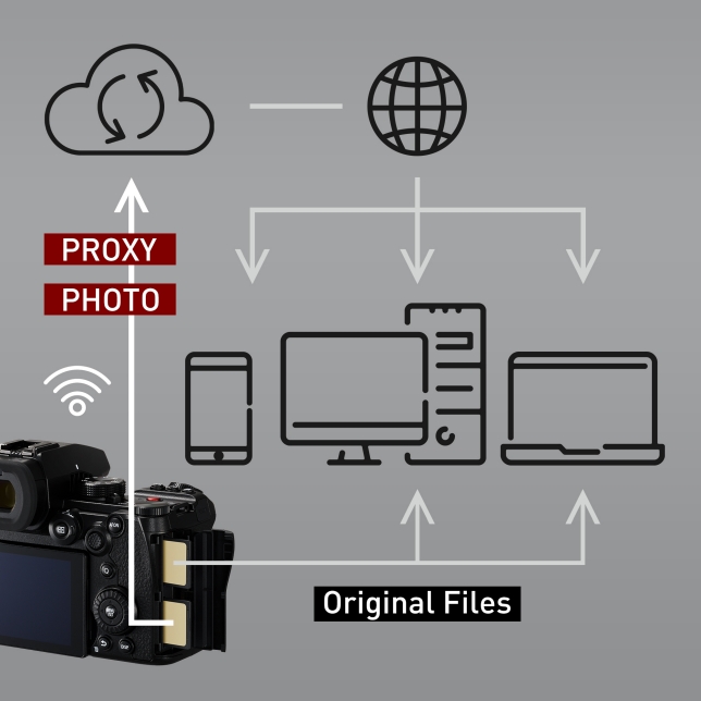 Enables cloud-based sharing and collaborative work