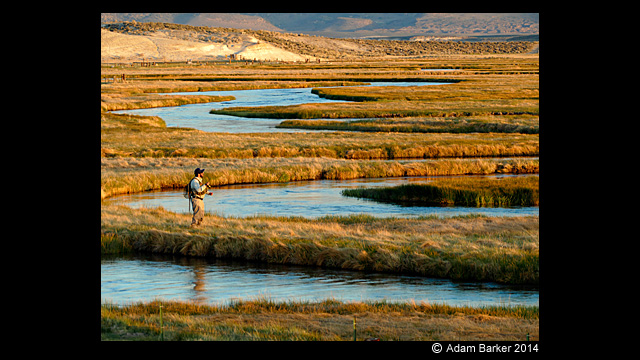 Get Inspired - Lumix Digital Camera DMC-FZ1000GN Super Zoom