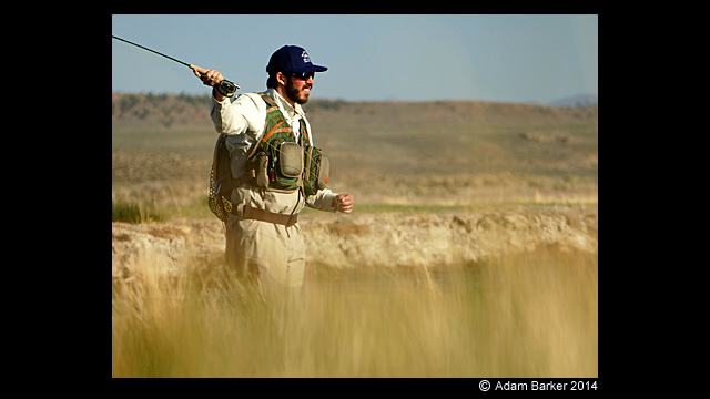 Get Inspired - Lumix Digital Camera DMC-FZ1000GN Super Zoom