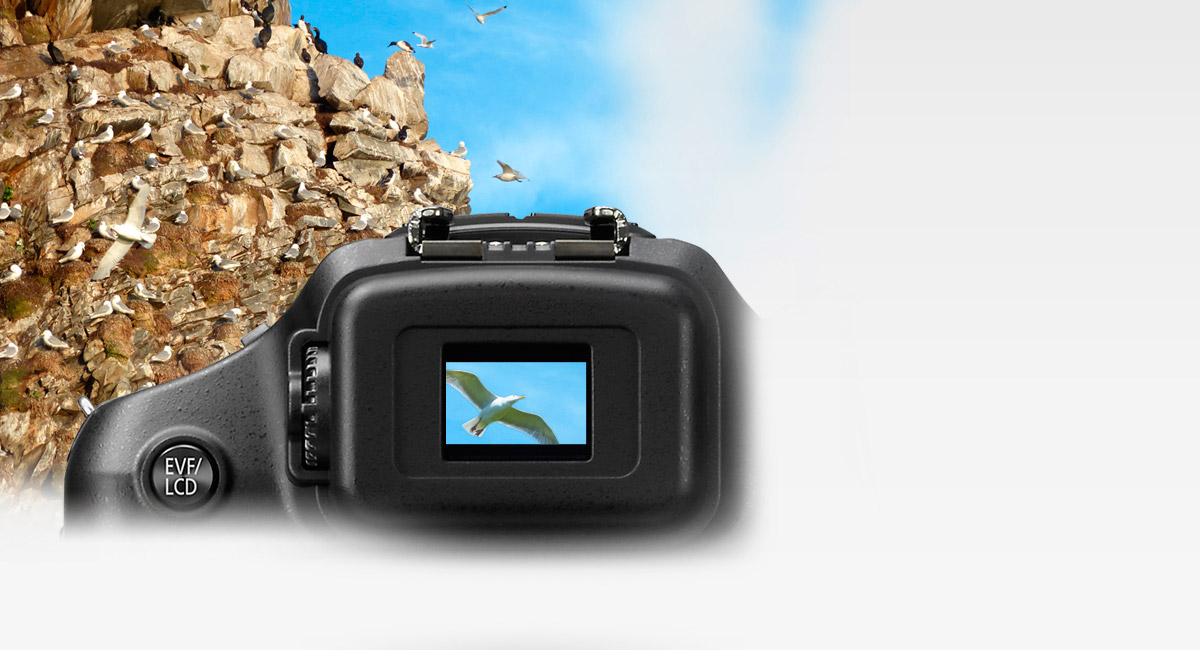 1312K-dot Equivalent High-Resolution EVF
