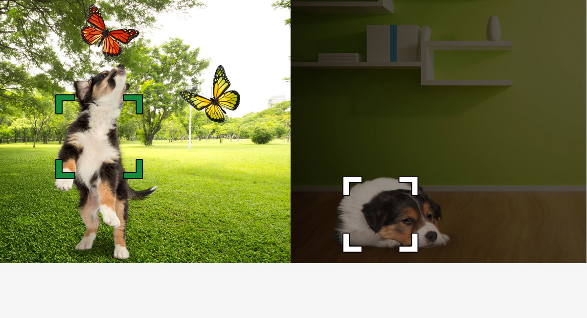 Improved AF Performance